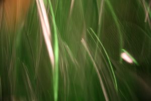 Hellion Newman – Green Glass Lightplay Series (2015.1.27)