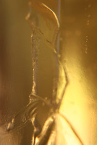 Pint Ice Lightplay Series (2013.10.18) by Hellion Newman