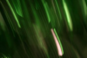 Hellion Newman – Green Glass II Lightplay Series (2015.1.27)