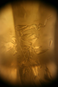 Pint Ice Lightplay Series (2013.10.20) by Hellion Newman